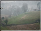 foto Pendici del Monte Grappa in Inverno